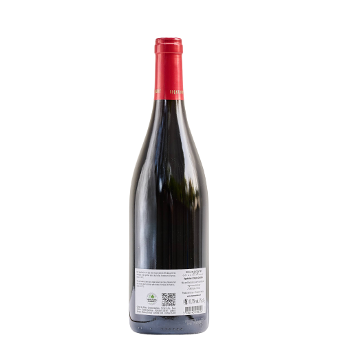Bourgogne Pinot Noir Buissonnier